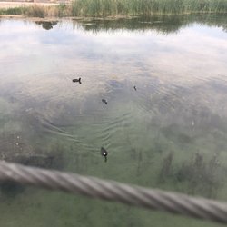 Ascarate Park - Views