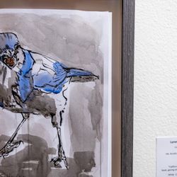 California Nature Art Museum