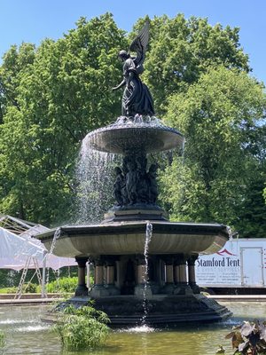Bethesda Fountain by null