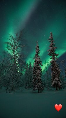 Northern Lights Ranch by null