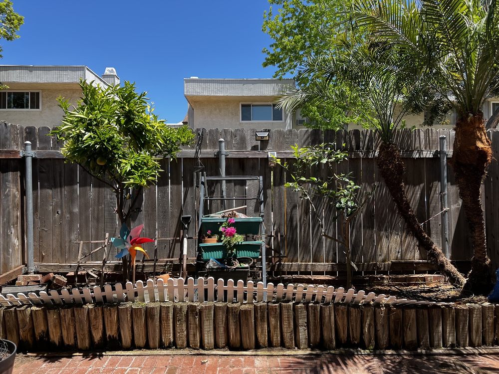Pilo Landscaping and Maintenance - tree service in Spring Valley, CA