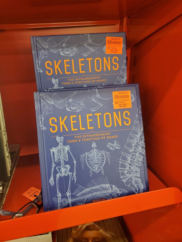 OLLIE’S BARGAIN OUTLET 69 Photos Discount Store 4081 West Vine St, Kissimmee, FL Phone