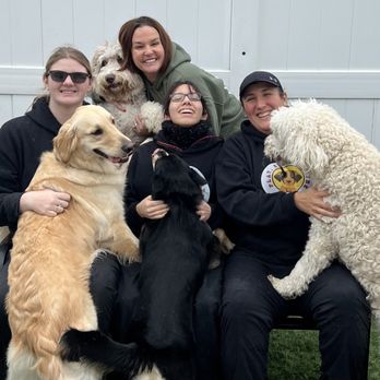 Pawz N' Clawz - Four dogs and four people! Including the owner of Pawz N' Clawz Stephanie! - Pet Groomers Near Me - Cleveland, Tennessee Pawz N' Clawz - Four dogs and four people! Including the owner of Pawz N' Clawz Stephanie! - Pet Groomers Near Me - Cleveland, Tennessee