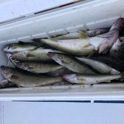 GypsyLyn Fishing Charters