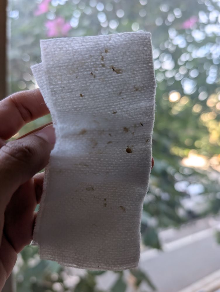 Theresa Irene Esthetics Logo