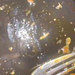 Mr You Chinese Food - Toe nail in my lo mein, orange chicken and beef and broccoli. THAT WAS IN MY MOUTH