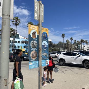 Venice Beach - Seal info - Beaches Near Me