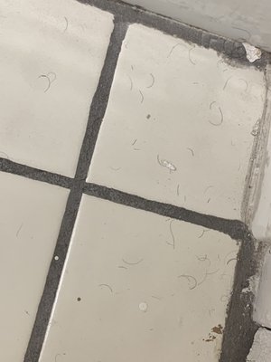 Howard Johnson by Wyndham Yuma by null