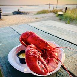 Lobster