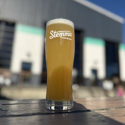 Stemma Brewing - Hazy Pale - schooner size (12oz)