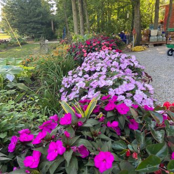 Groovy Plants Ranch - Nurseries & Gardening Near Me - Marengo, Ohio