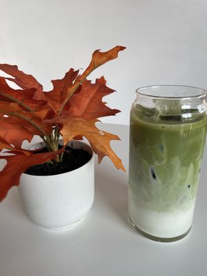 Sydney Providence by null