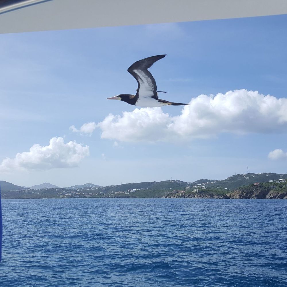 Double Header Sportfishing - Boat Charters Near Me - St. Thomas, Virgin Islands Double Header Sportfishing - Boat Charters Near Me - St. Thomas, Virgin Islands
