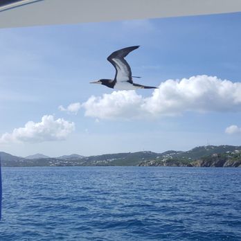 Double Header Sportfishing - Boat Charters Near Me - St. Thomas, Virgin Islands