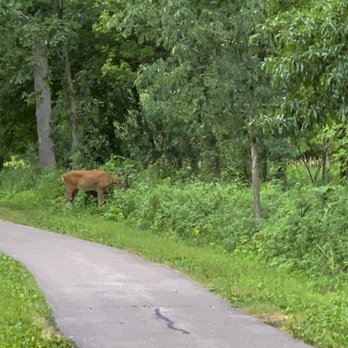 Elm Grove Park - Parks Near Me - Elm Grove, Wisconsin
