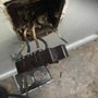 Able Electrical Services