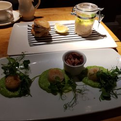 The Tudor Rose