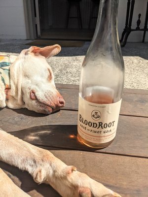 BloodRoot Wines by null