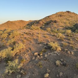 Scottsdale Hot Air Balloon Rides- Aerogelic Ballooning - Sonora desert