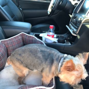 PetSmart - Pet Training Near Me - Oak Ridge, Tennessee