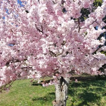 Frelinghuysen Arboretum - Botanical Gardens Near Me - Morristown, New Jersey
