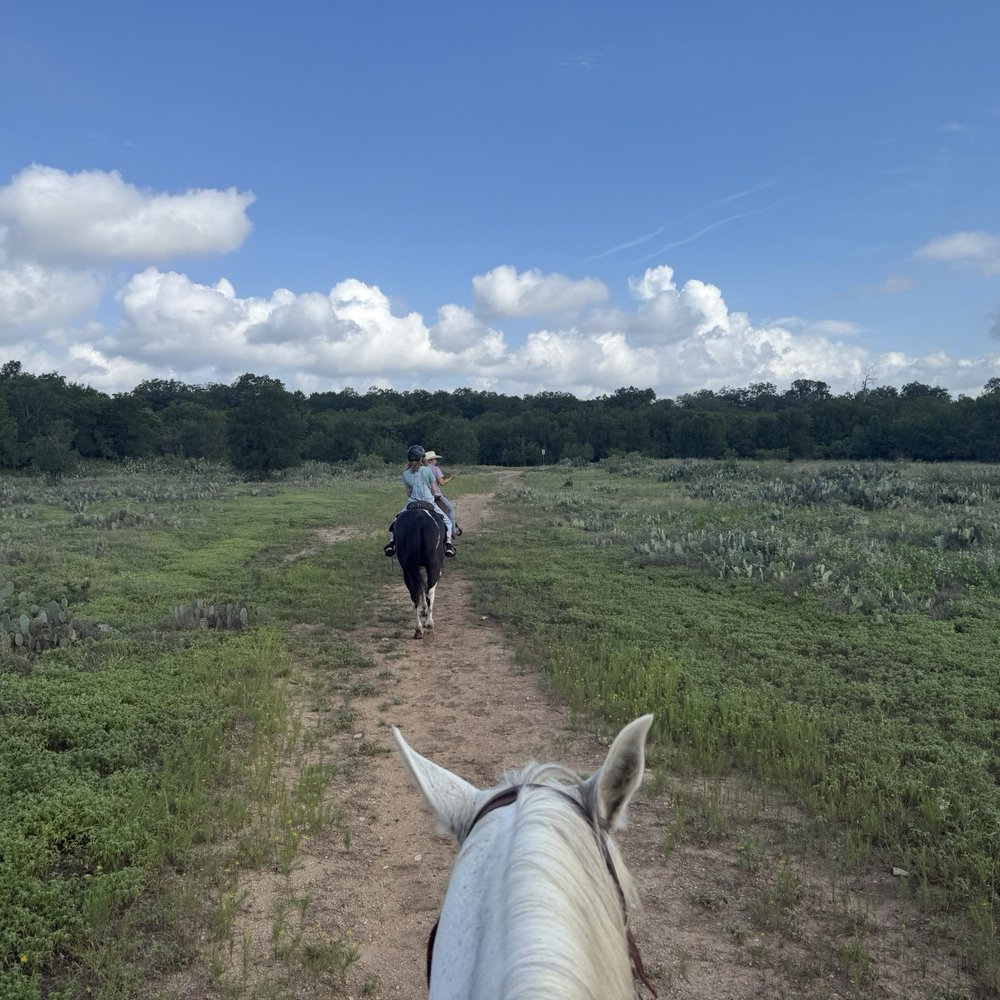 Texas Trail Rides - Horseback Riding Near Me - Austin, Texas Texas Trail Rides - Horseback Riding Near Me - Austin, Texas