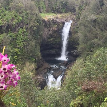 KapohoKine Adventures - View of the Waterfall from the half way point can be seen both during the ATV and the Zip-line tours. - Tours Near Me - Hilo, Hawaii KapohoKine Adventures - View of the Waterfall from the half way point can be seen both during the ATV and the Zip-line tours. - Tours Near Me - Hilo, Hawaii