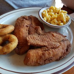 Tilapia