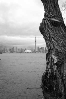 Toronto Island Park Olympic Island by null