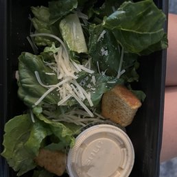 Caesar Salad Caesar Salad