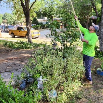 Montiels Tree Service - Tree Services Near Me Montiels Tree Service - Tree Services Near Me