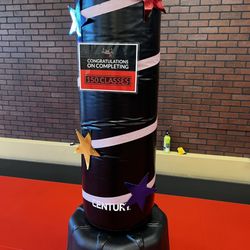 iLoveKickboxing - Reno