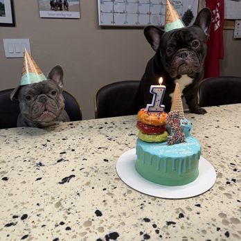 Dogtown Bakery - Custom Cakes Near Me - Kailua, Hawaii