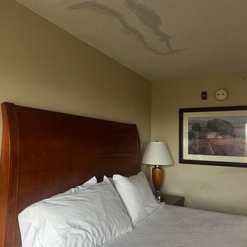 Hilton Garden Inn Washington DC/Greenbelt - Hotels Near Me - Greenbelt, Maryland Hilton Garden Inn Washington DC/Greenbelt - Hotels Near Me - Greenbelt, Maryland