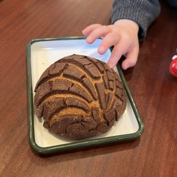 Conchas