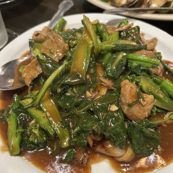 Mein Restaurant - Beef Broccoli Flat Rice Noodle - Chinese Near Me - Houston, Texas