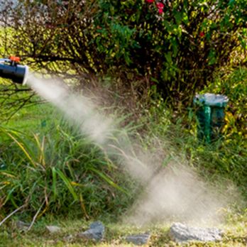 Effective Pest Solutions - Mosquito Control - Pest Control Near Me