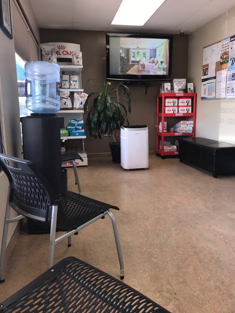 STANTON PET HOSPITAL 49 Photos & 132 Reviews Veterinarians 8591