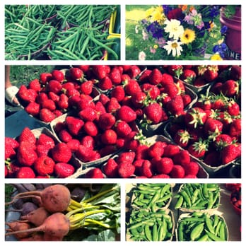 Walker Square Farmers Market - Awesome fresh produce! - Farmers Market Near Me - Milwaukee, Wisconsin Walker Square Farmers Market - Awesome fresh produce! - Farmers Market Near Me - Milwaukee, Wisconsin