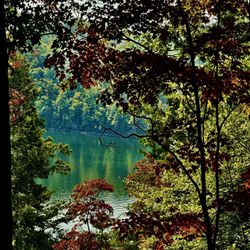 Goose Point Campground