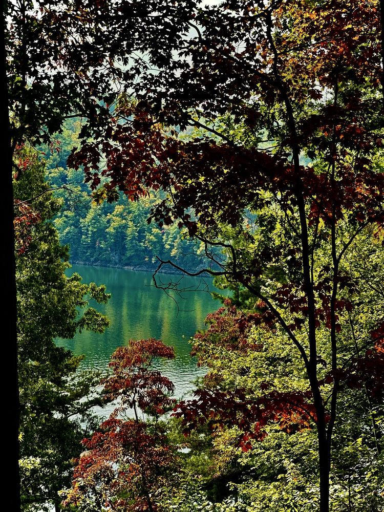 Social spots from Goose Point Campground