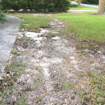 Trad's Pest Control - a patch of grass that has been removed - Pest Control Near Me - Jacksonville, Florida Trad's Pest Control - a patch of grass that has been removed - Pest Control Near Me - Jacksonville, Florida
