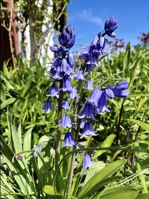 Greenbank Farm by null