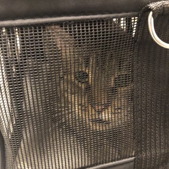 Jeronimo Pet Clinic - Veterinarians Near Me - Mission Viejo, California