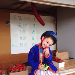The Strawberry Patch