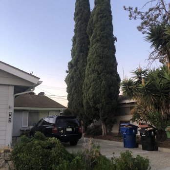 Inexpensive Tree Services - Tree Services Near Me - Los Angeles, California