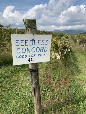 Jerome's U-Pick Fruit Farm by null