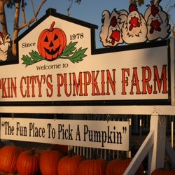 Pumpkin City's Pumpkin Farm 