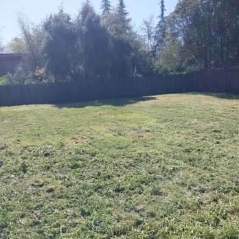 Bay Bloom - After. - Lawn Services Near Me