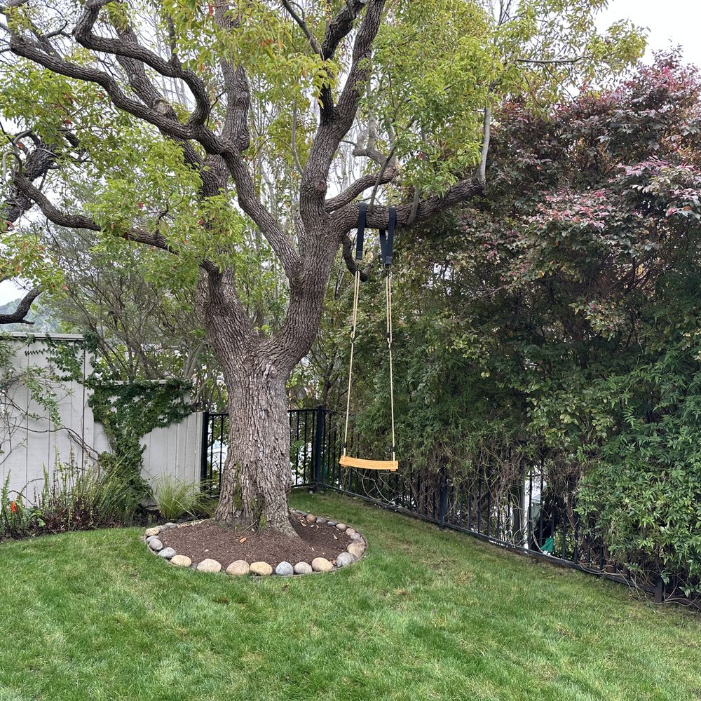 650 Gardeners - New lawn, irrigation and plants - Landscaping Near Me 650 Gardeners - New lawn, irrigation and plants - Landscaping Near Me